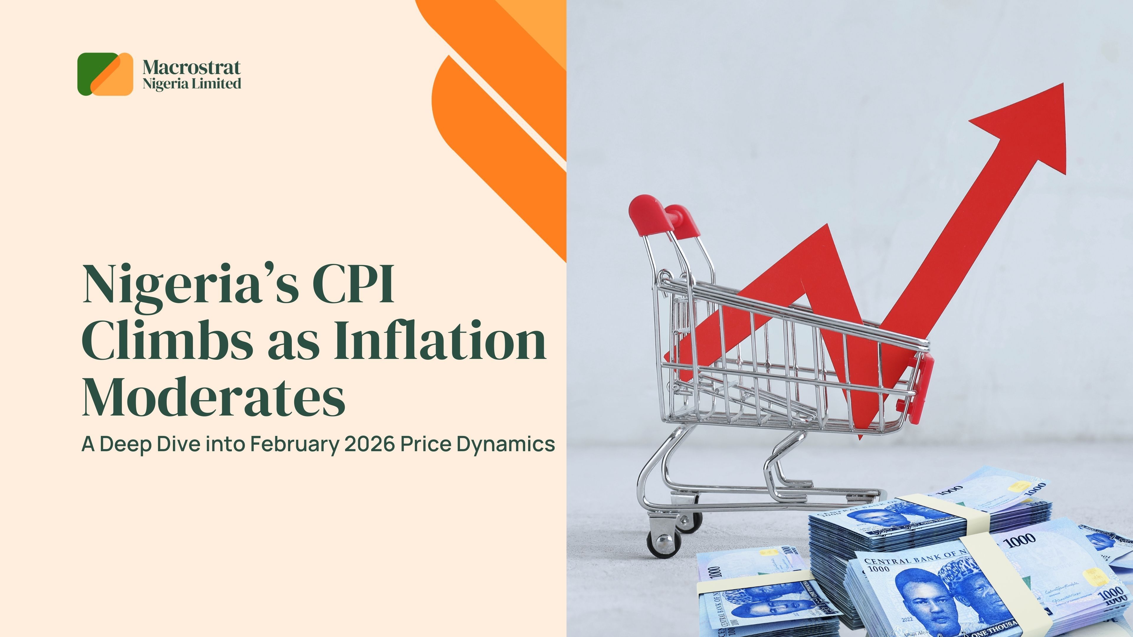 Nigeria’s CPI Climbs as Inflation Moderates: A Deep Dive into February 2026 Price Dynamics