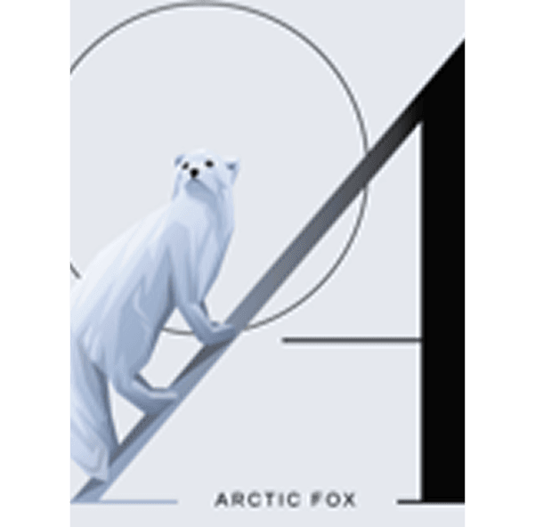 Navigating Policy Reform in Emerging Economies: 2025 Outlook